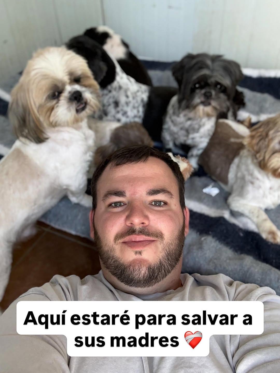 2 animalitos (9/13)