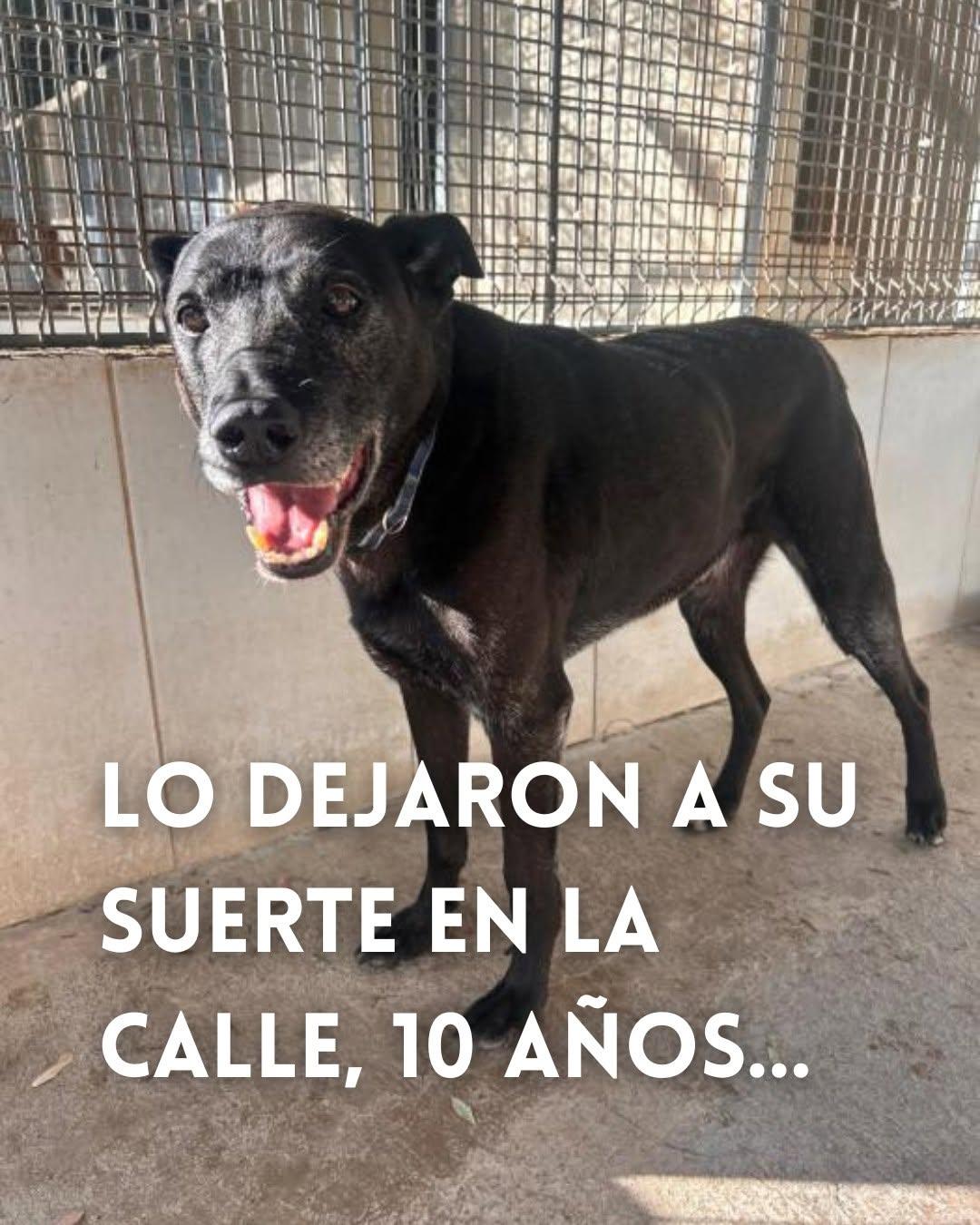 Cachito (1/4)