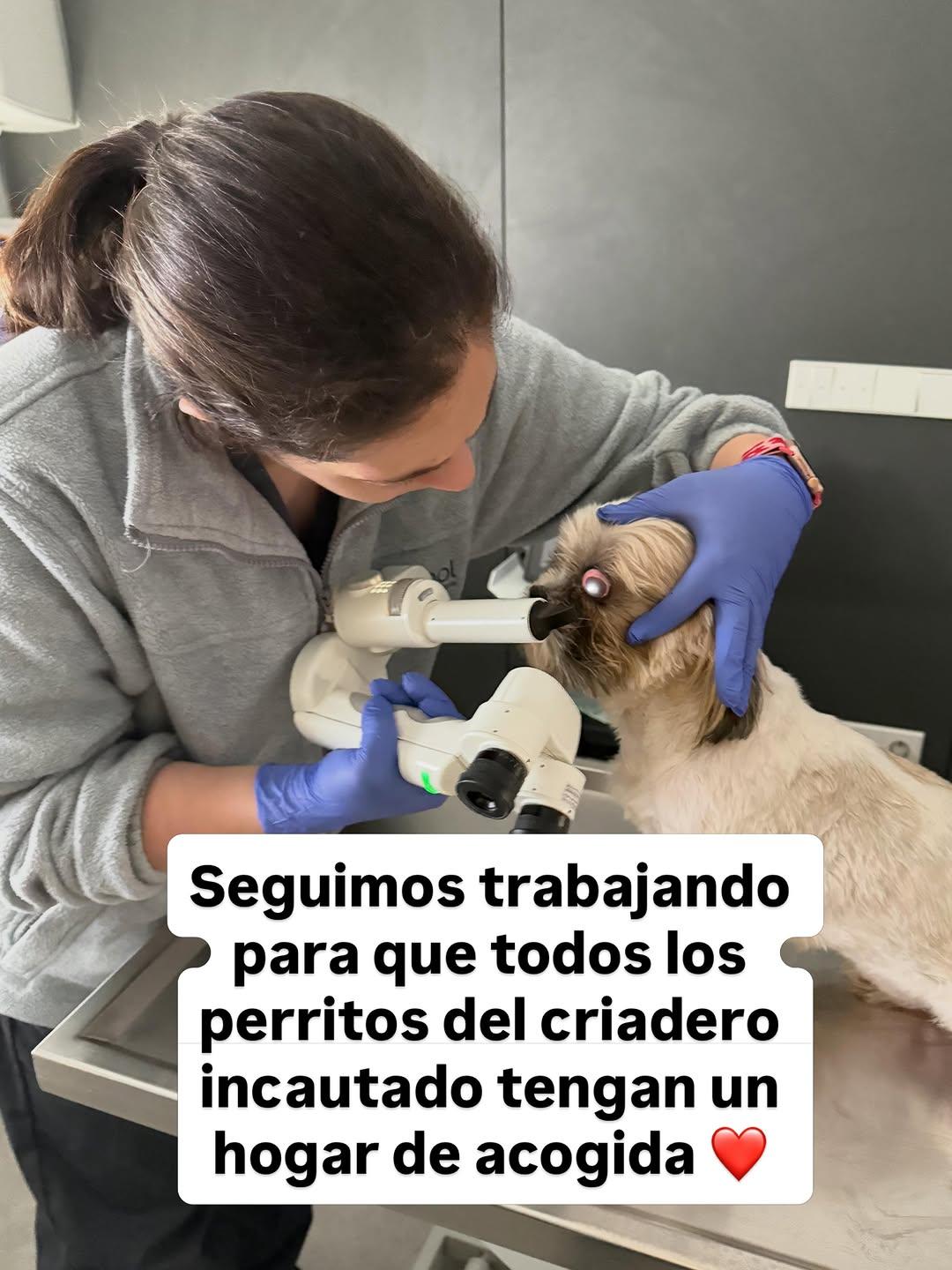 Sin nombre (9/11)