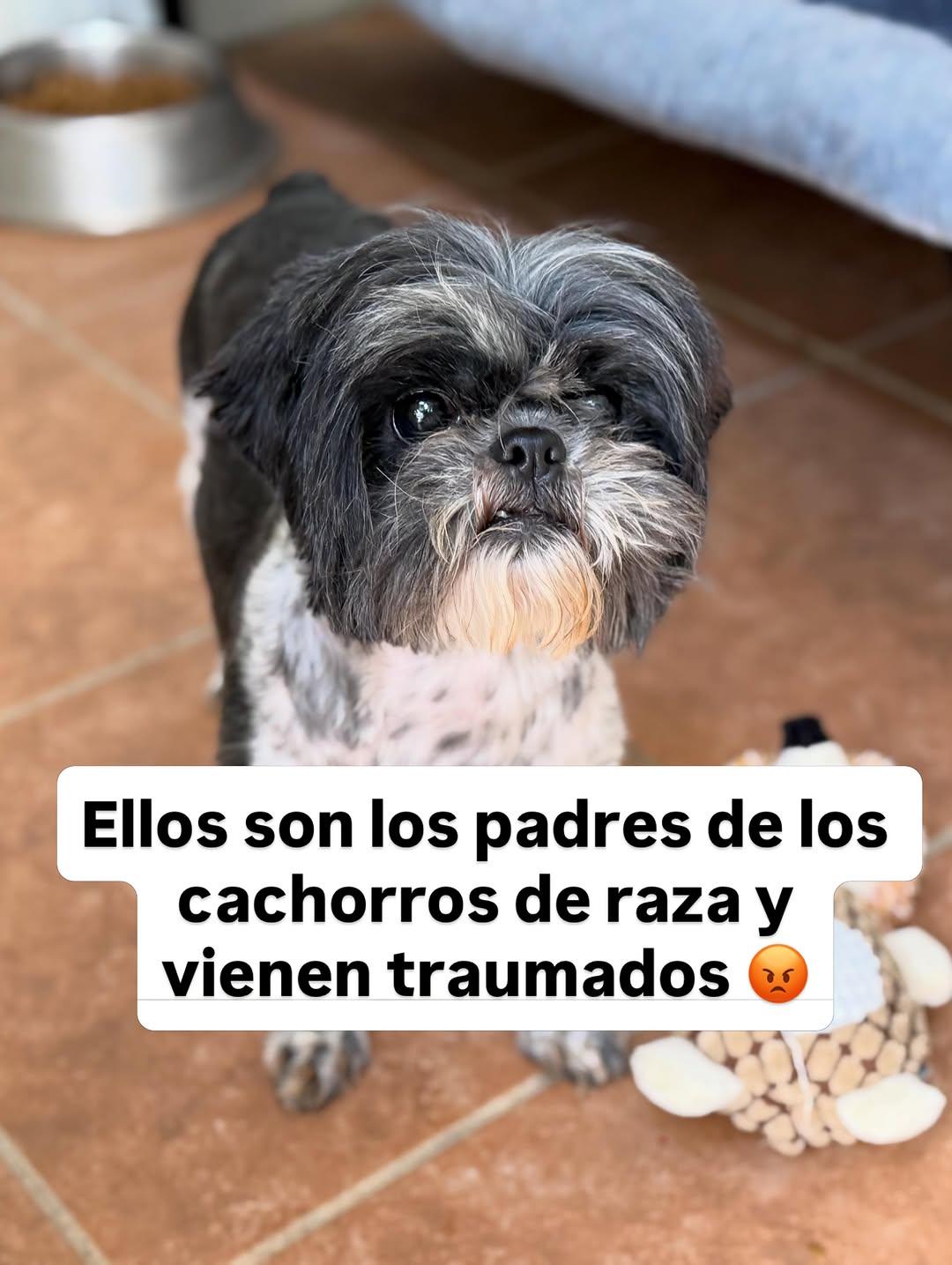 Sin nombre (10/11)