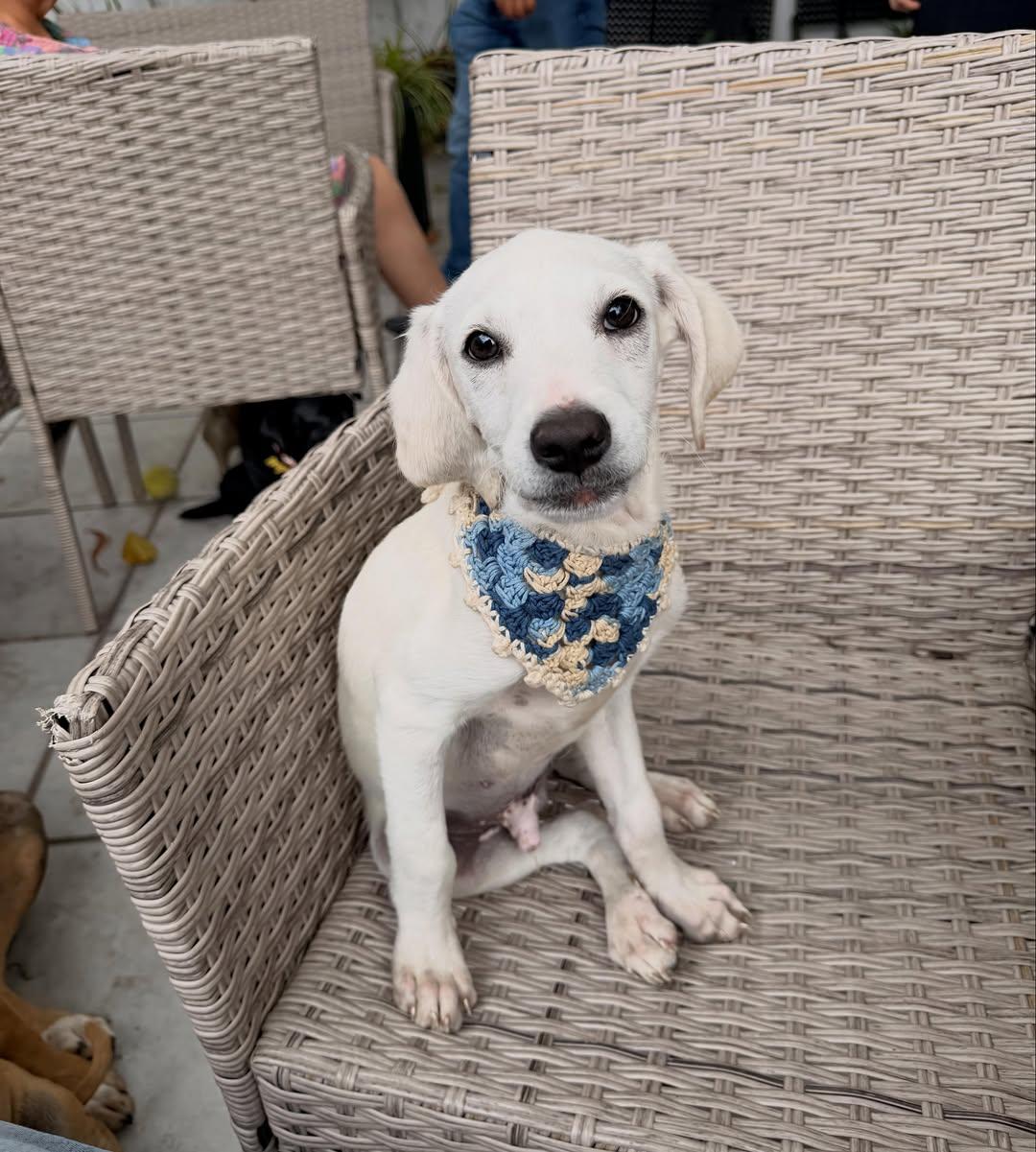 Olaf (5/9)