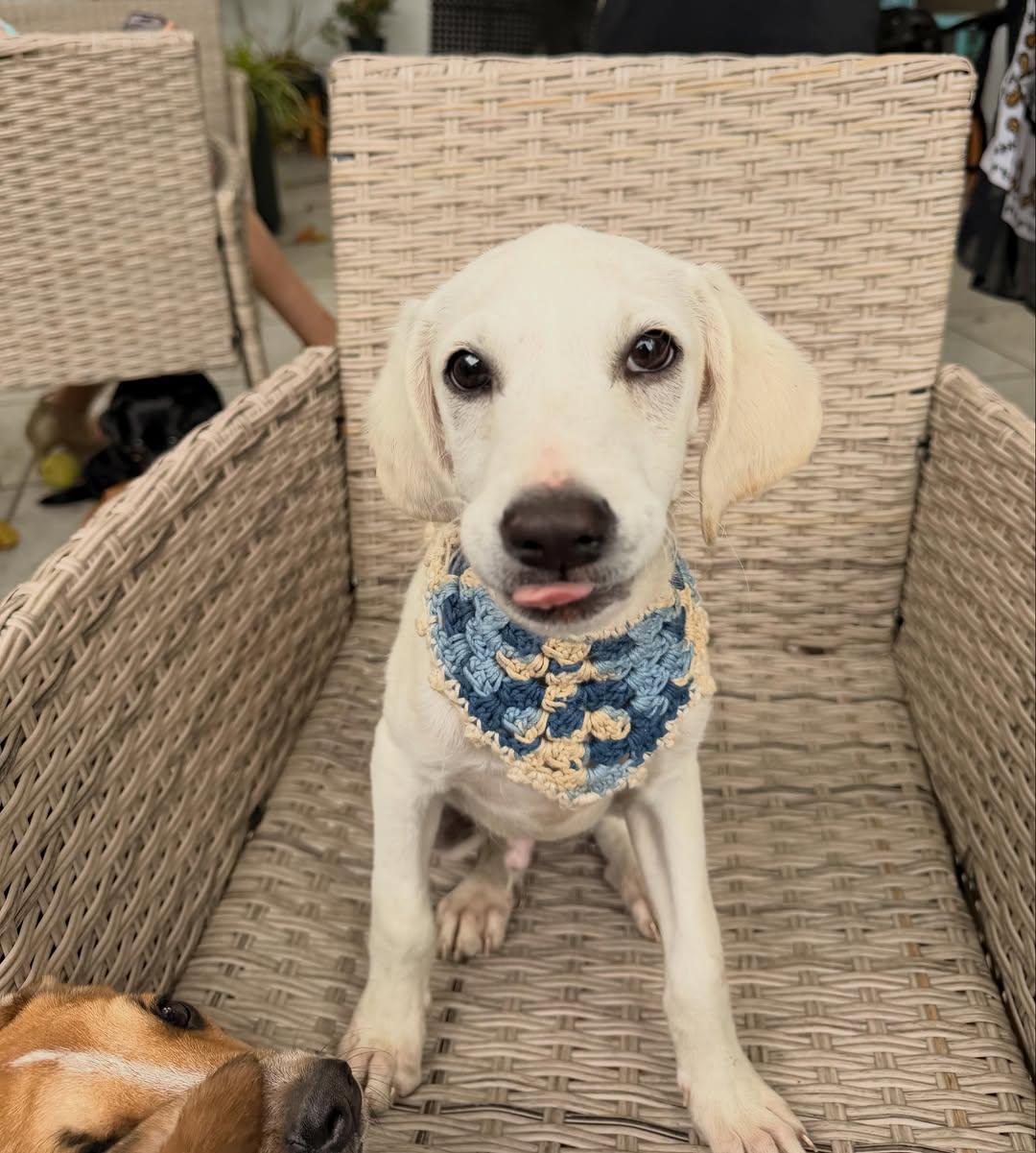Olaf (8/9)