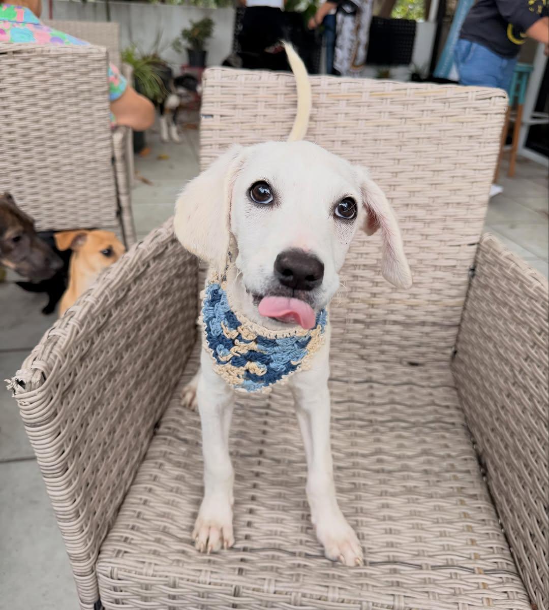Olaf (9/9)