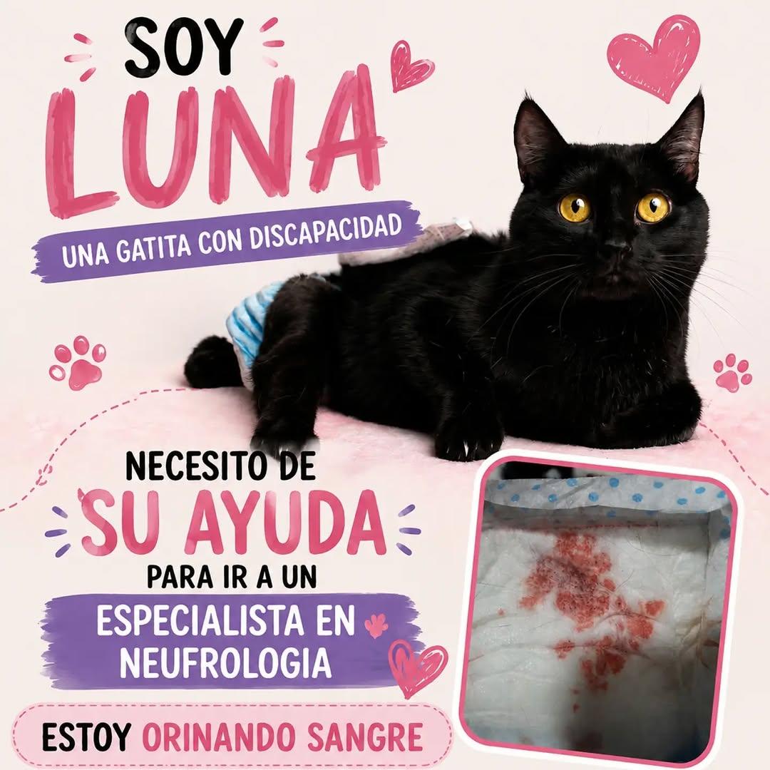 Lunita