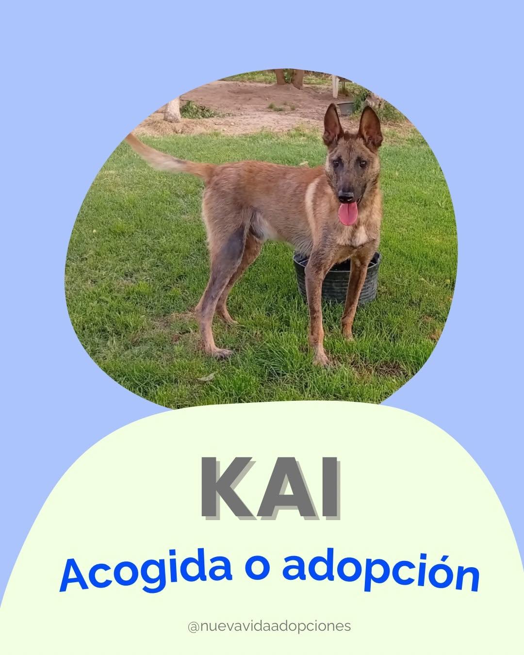 KAI (1/5)