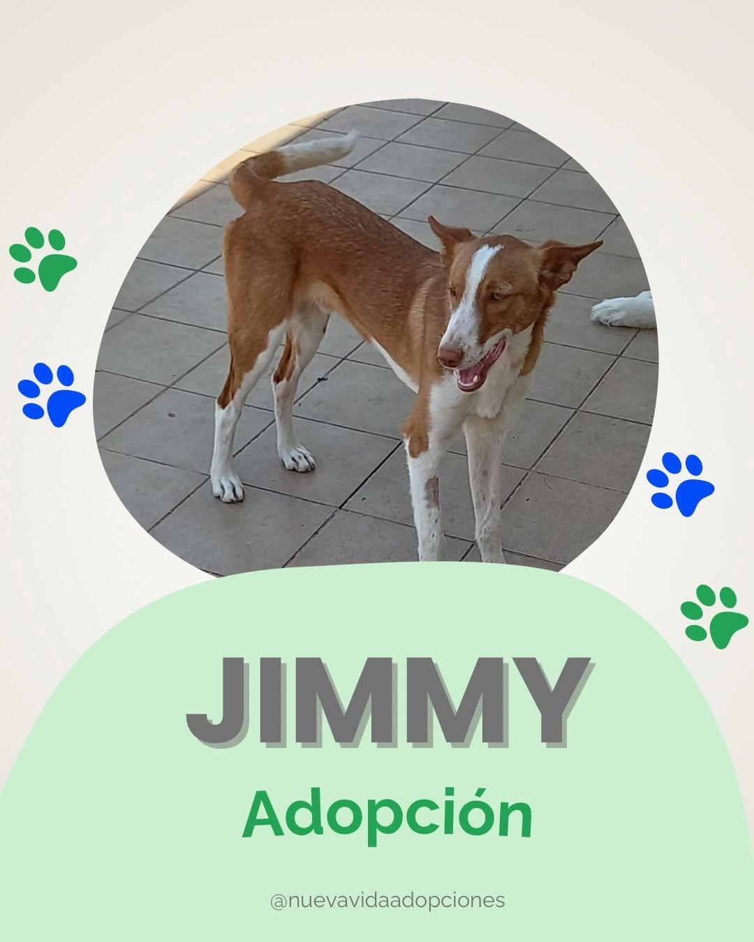 Jimmy (1/6)