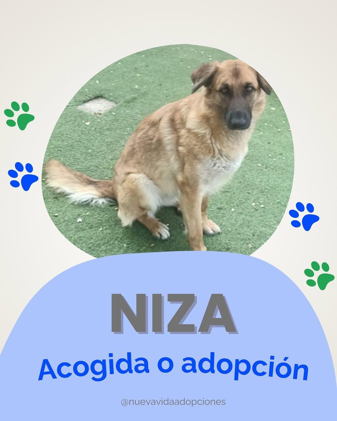 NIZA