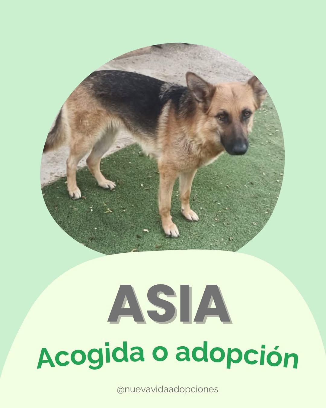 ASIA