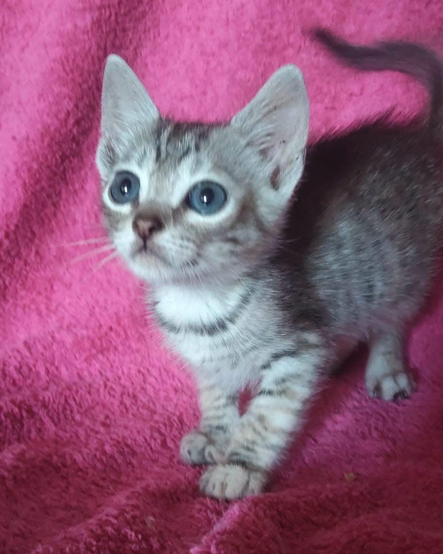 TUNA (2/2)