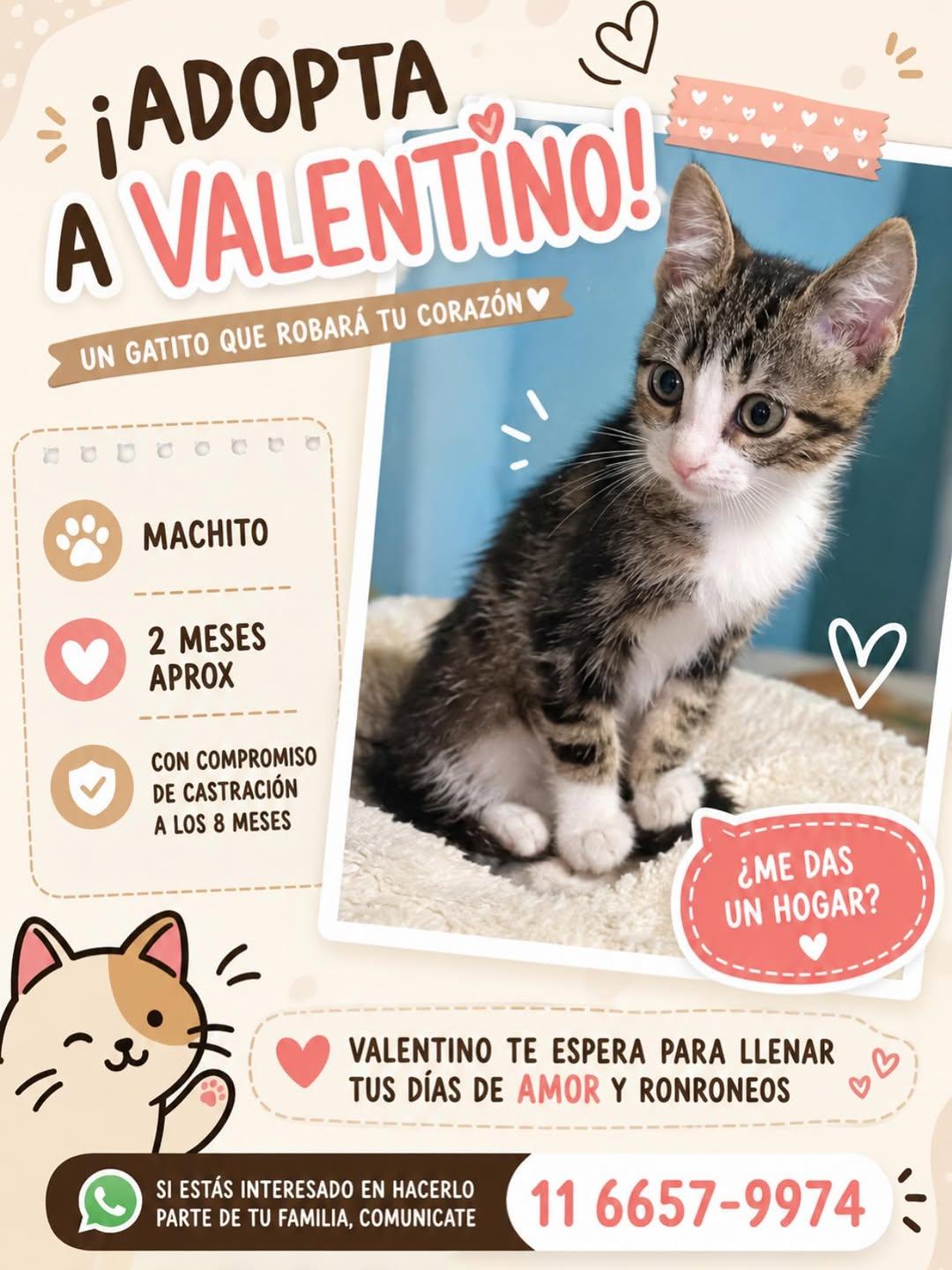 Valentino