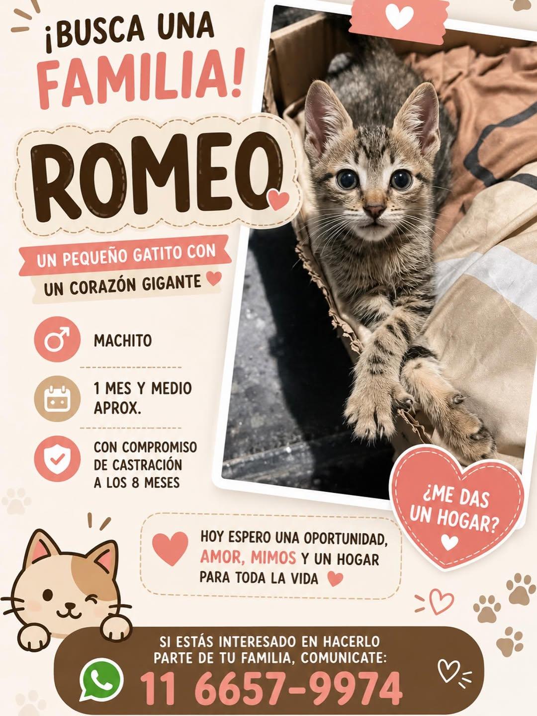 Romeo