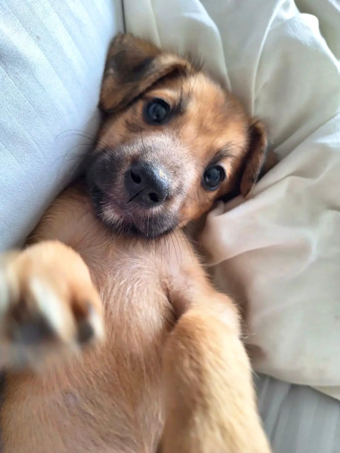 Milo (1/5)