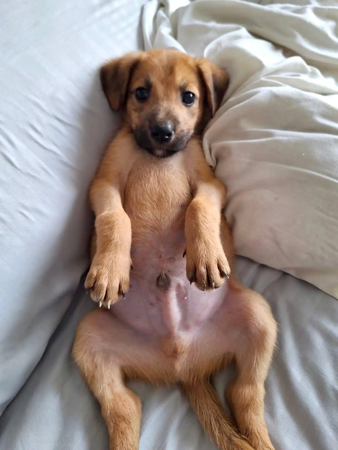 Milo (2/5)