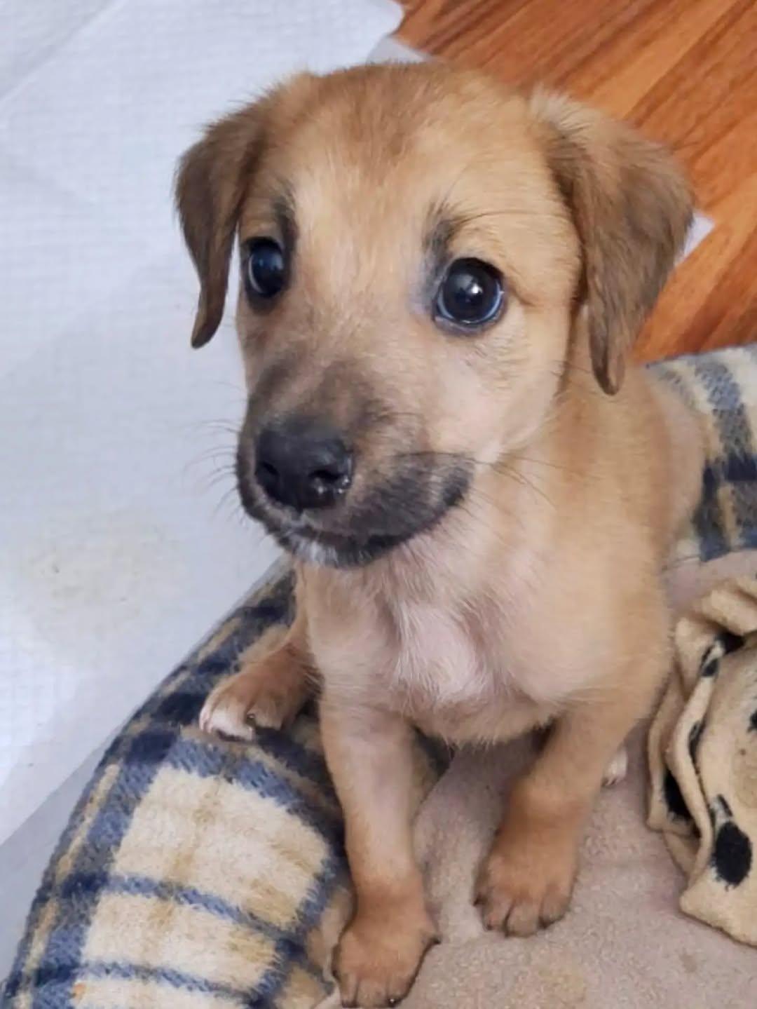 Milo (5/5)