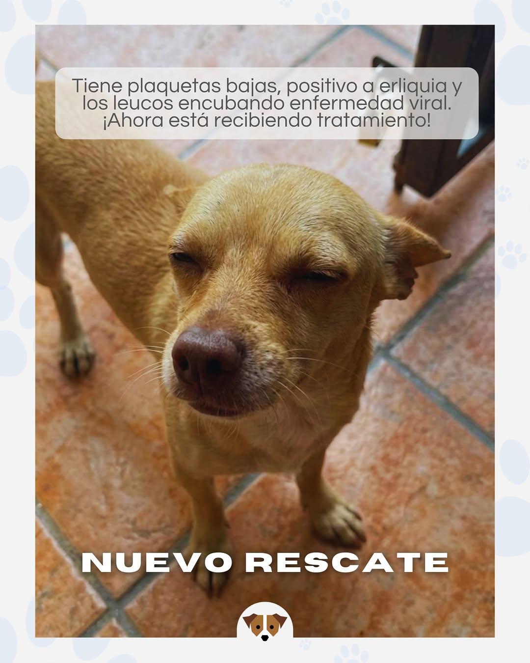 Miguelito (2/3)