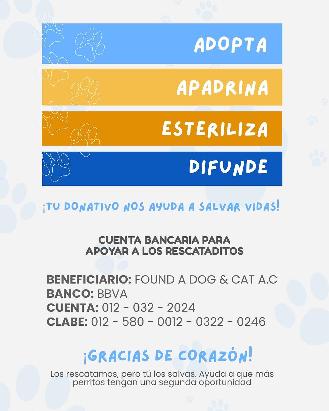 Miguelito (3/3)