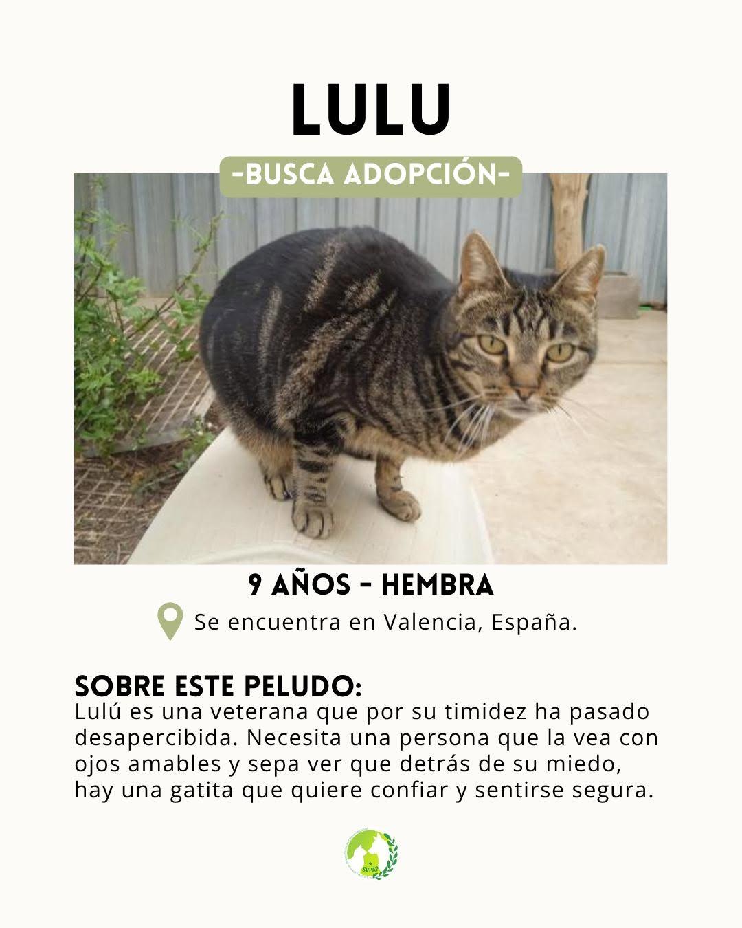 Lulu (2/7)