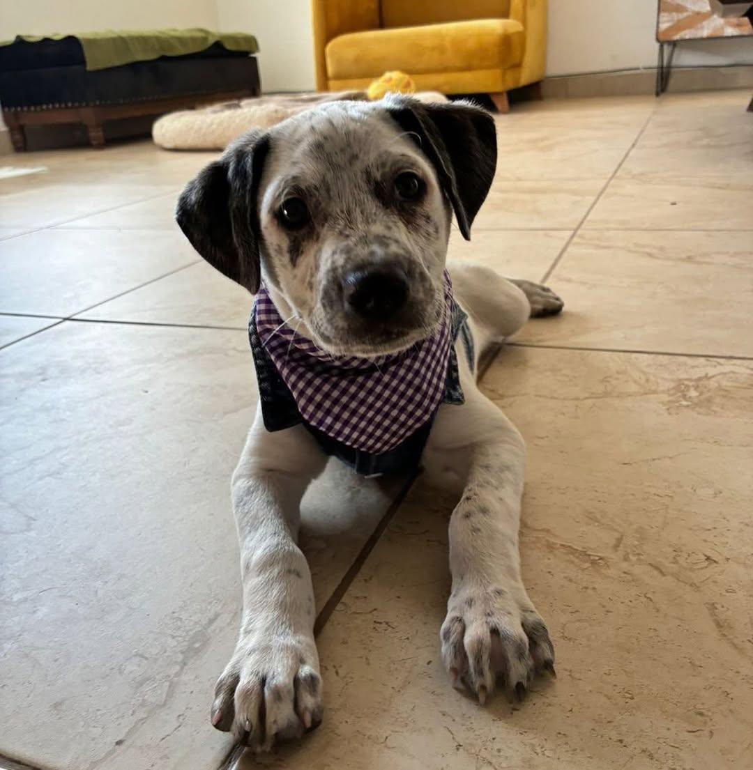 Simona (17/20)