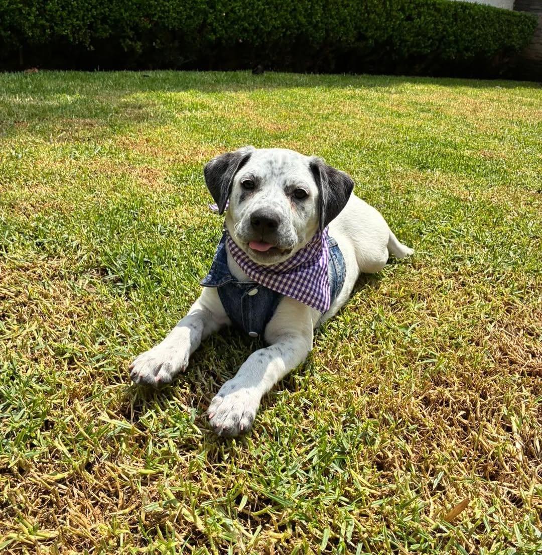 Simona (5/20)