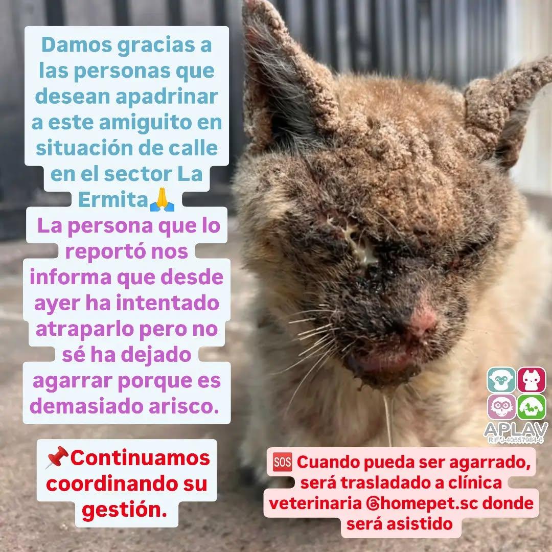 Sin nombre
