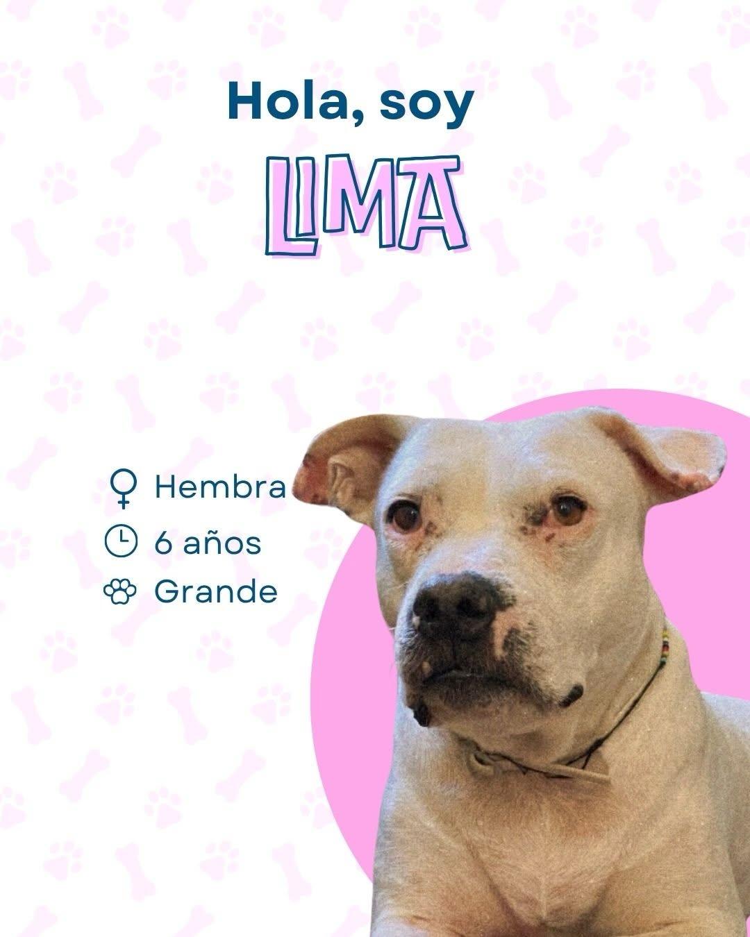 Lima (1/4)