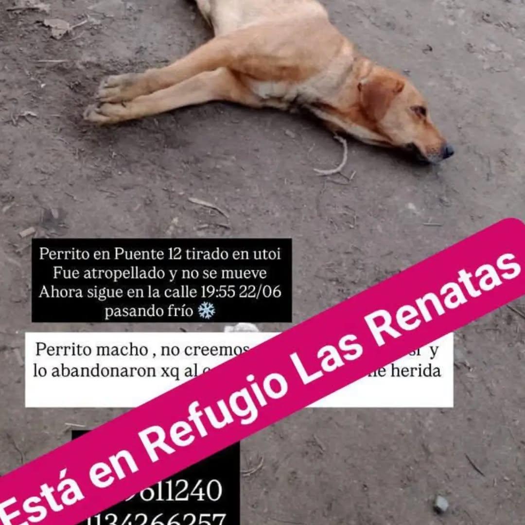 Sin nombre