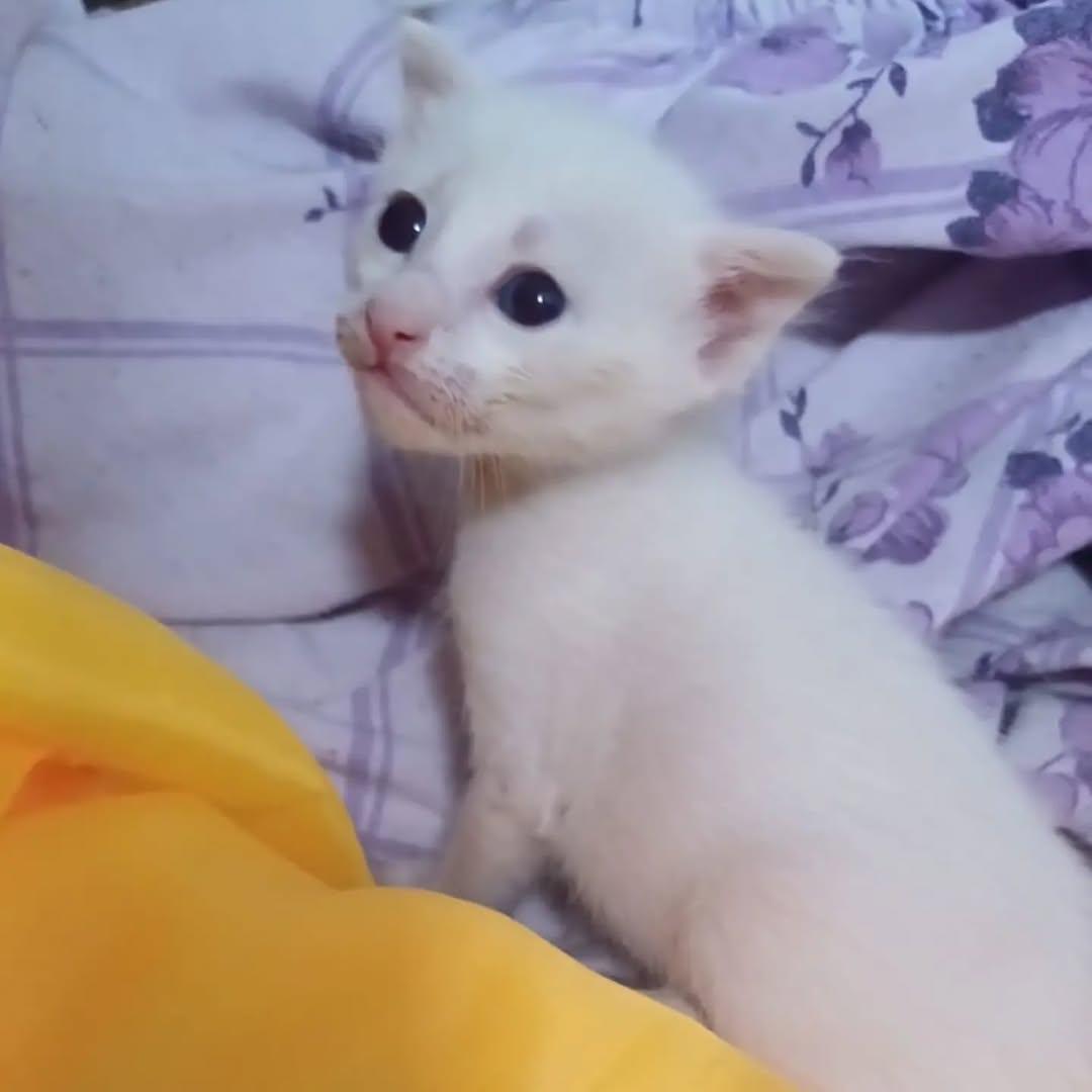 Missy, Nube (1/2)