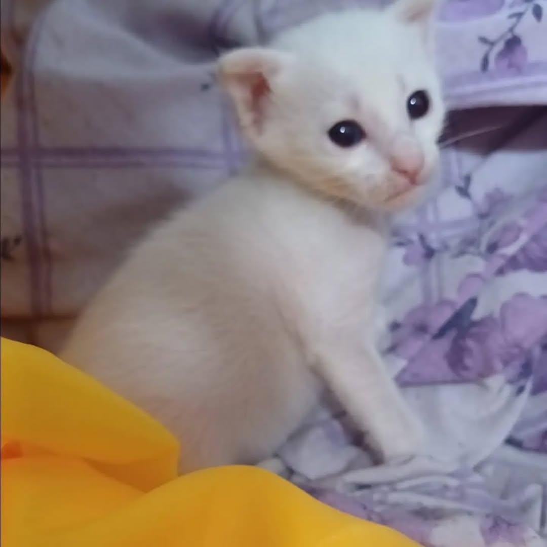 Missy, Nube (2/2)