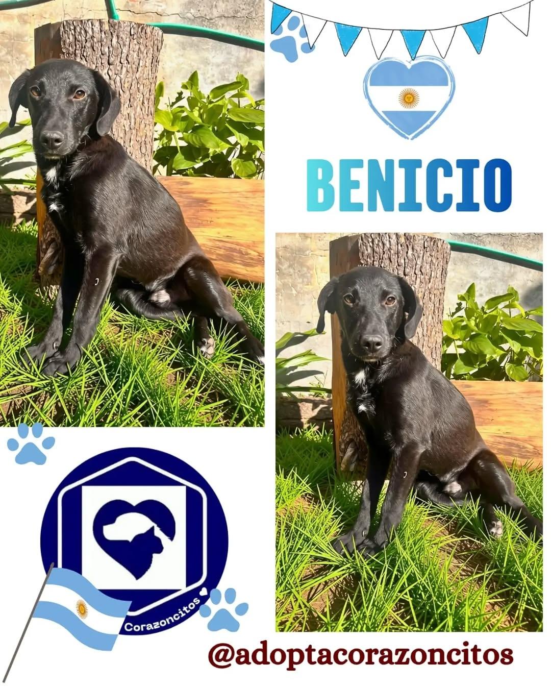 Salvador, Benicio (2/2)