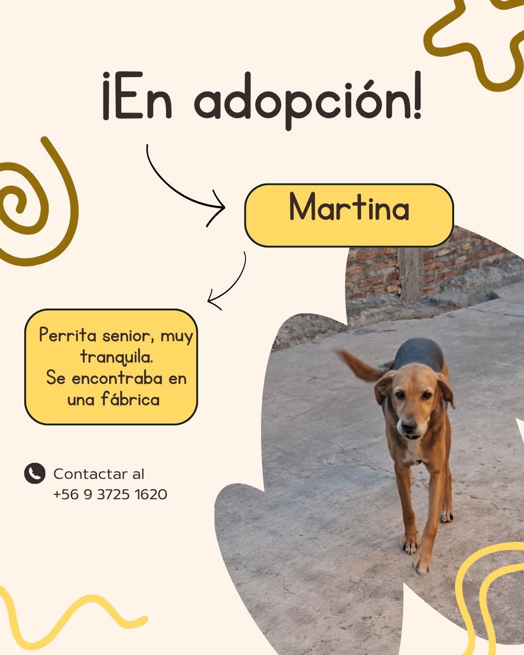 Martina (1/5)