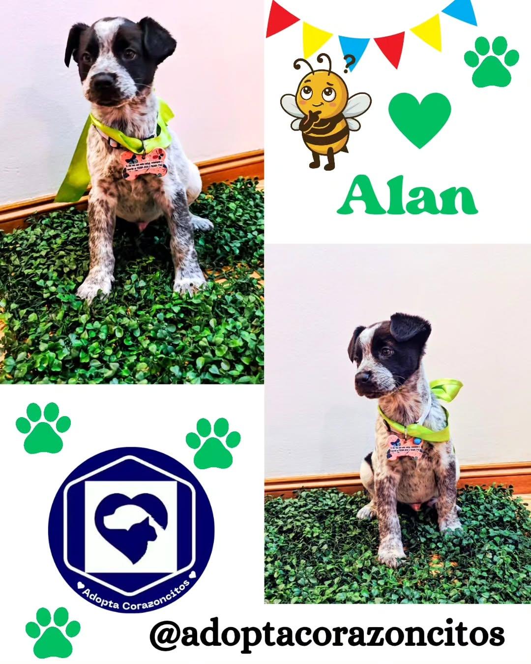 ZAIRA, ALAN, MAX (2/3)