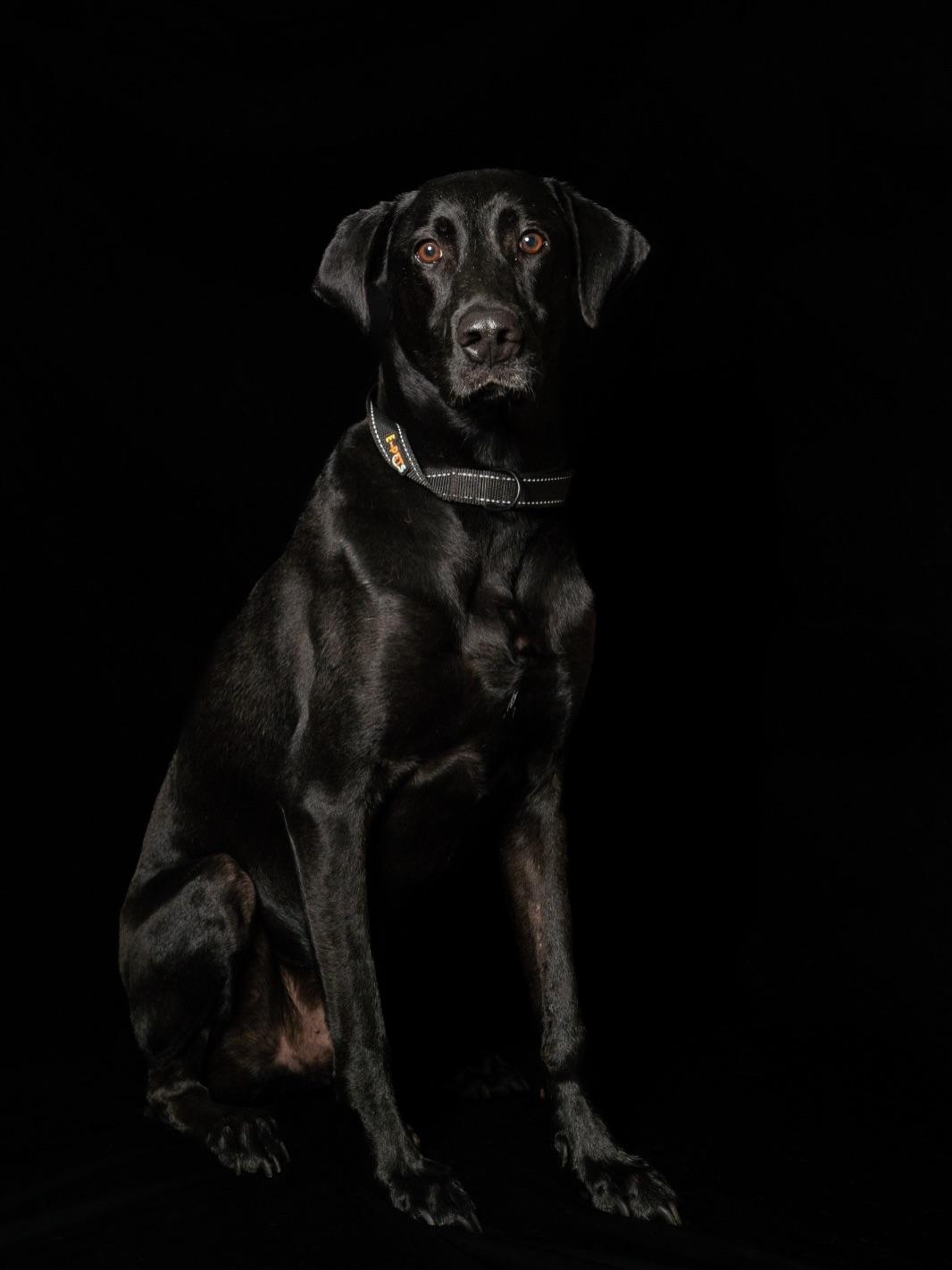 Terry (5/5)