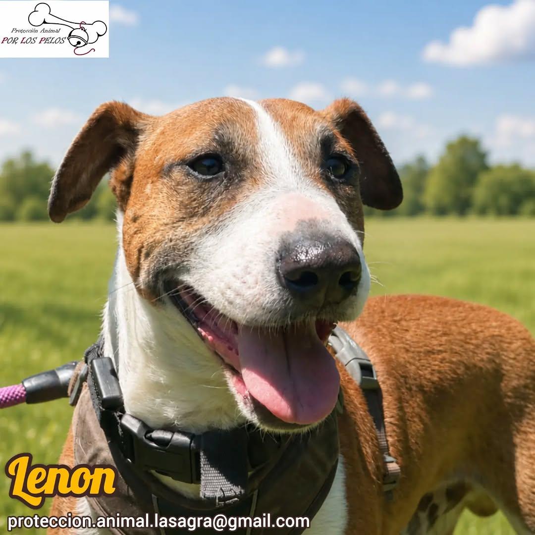 Lenon (1/10)