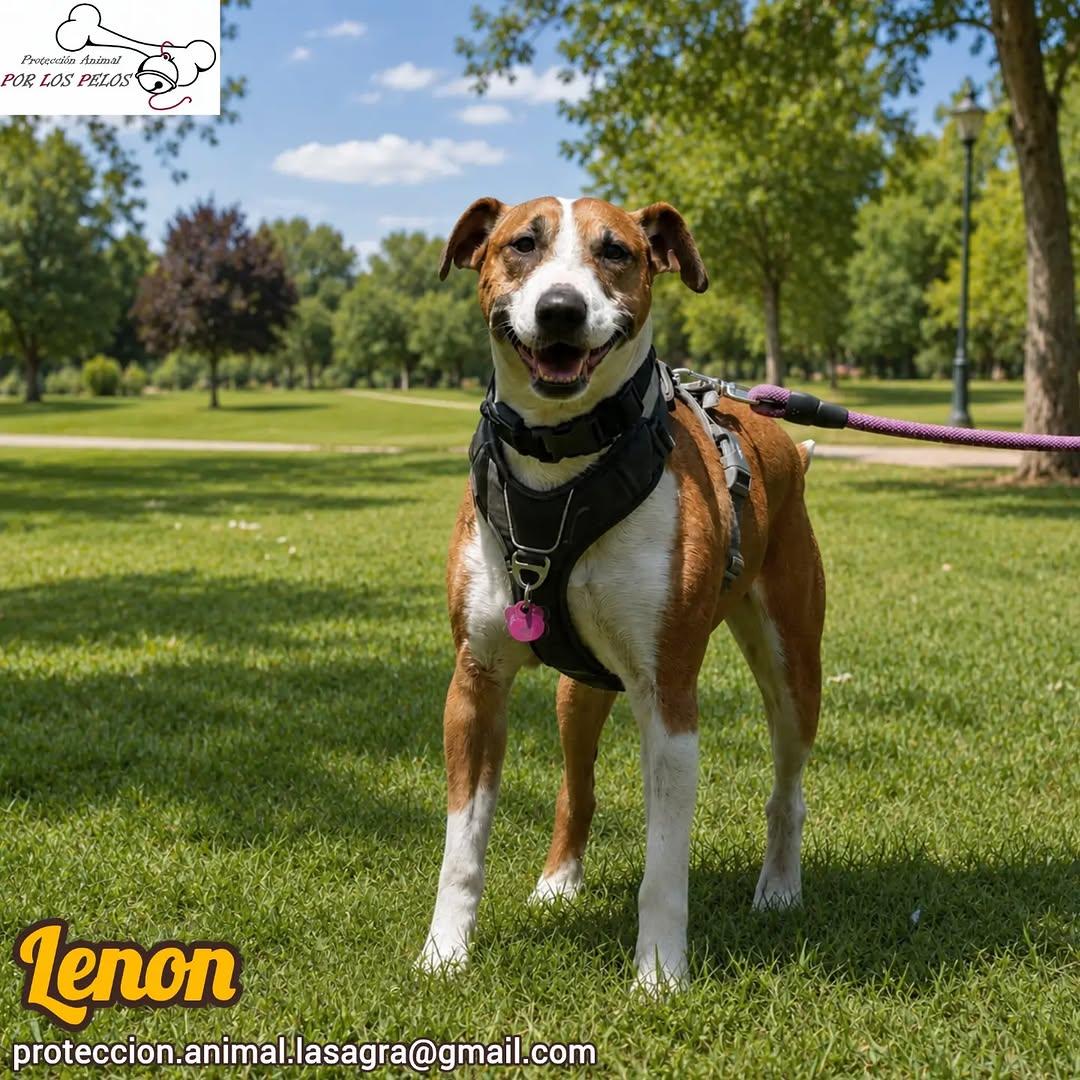 Lenon (2/10)