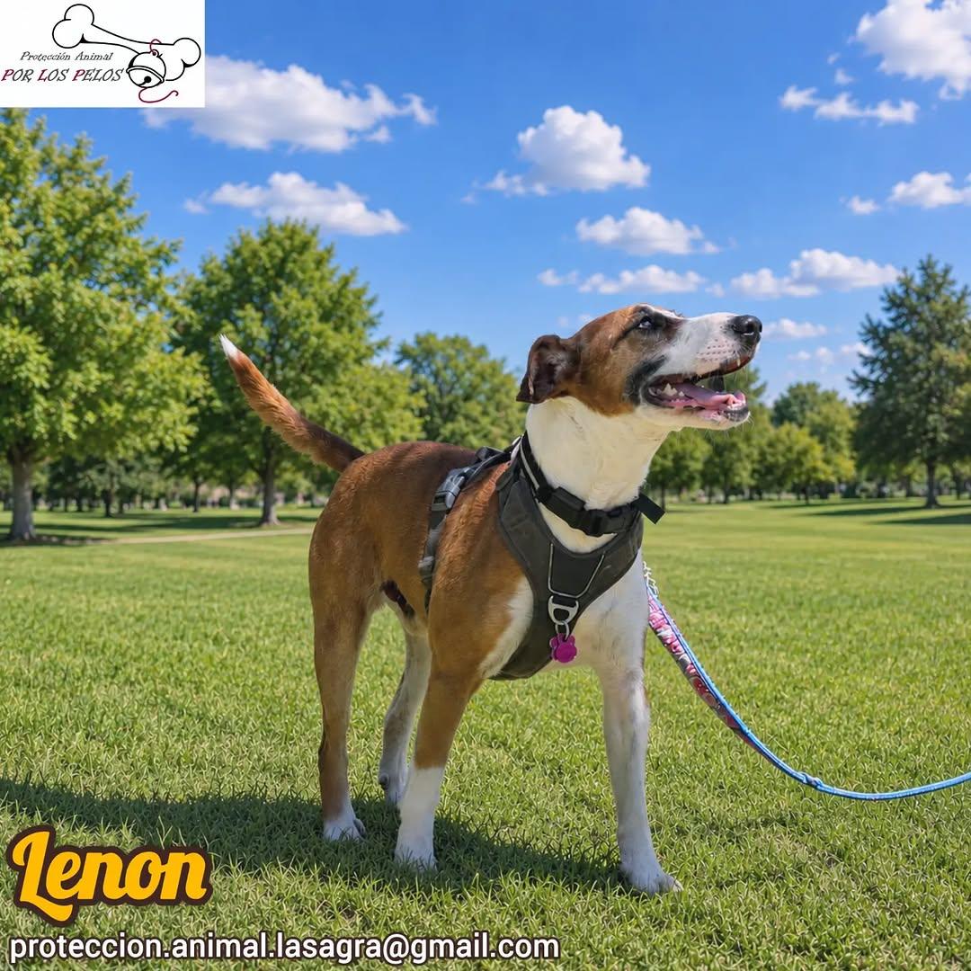 Lenon (4/10)
