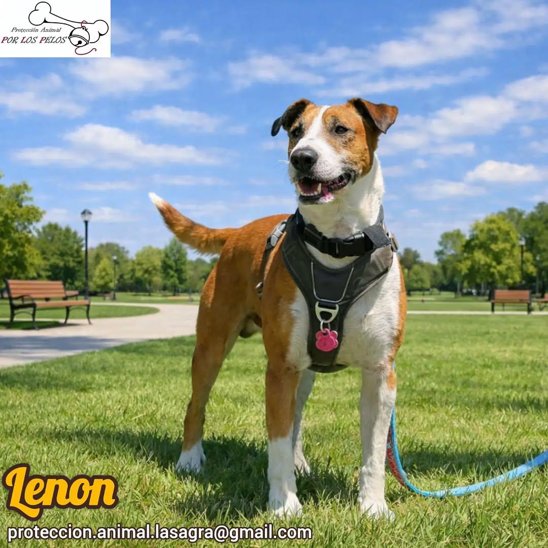 Lenon (5/10)