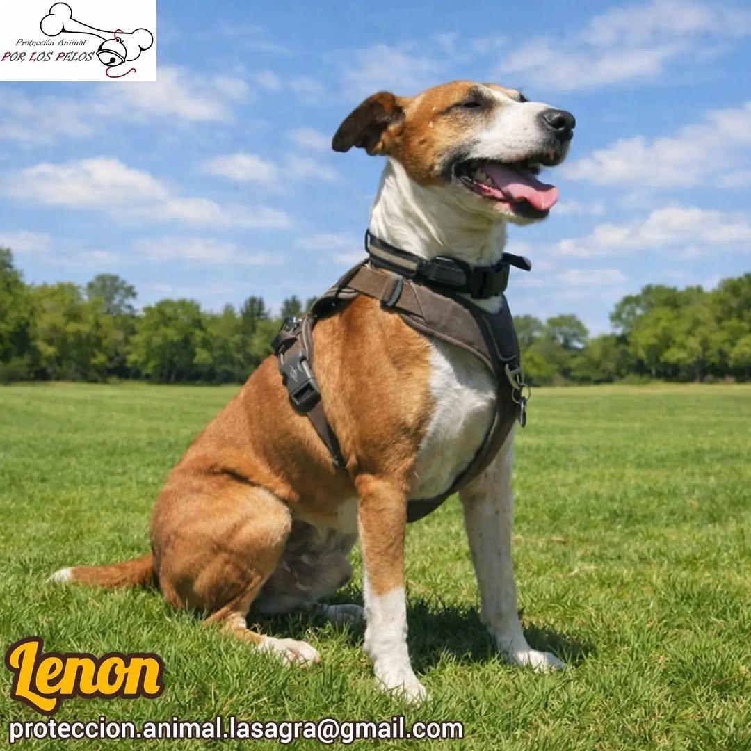 Lenon (6/10)