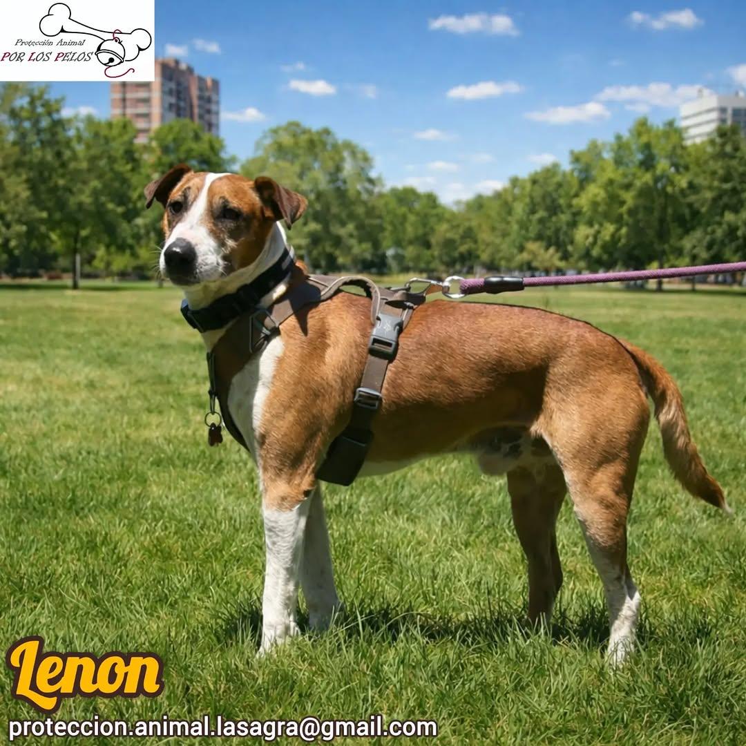 Lenon (7/10)