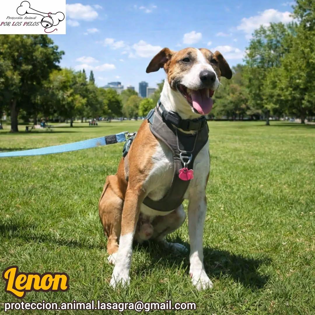 Lenon (8/10)