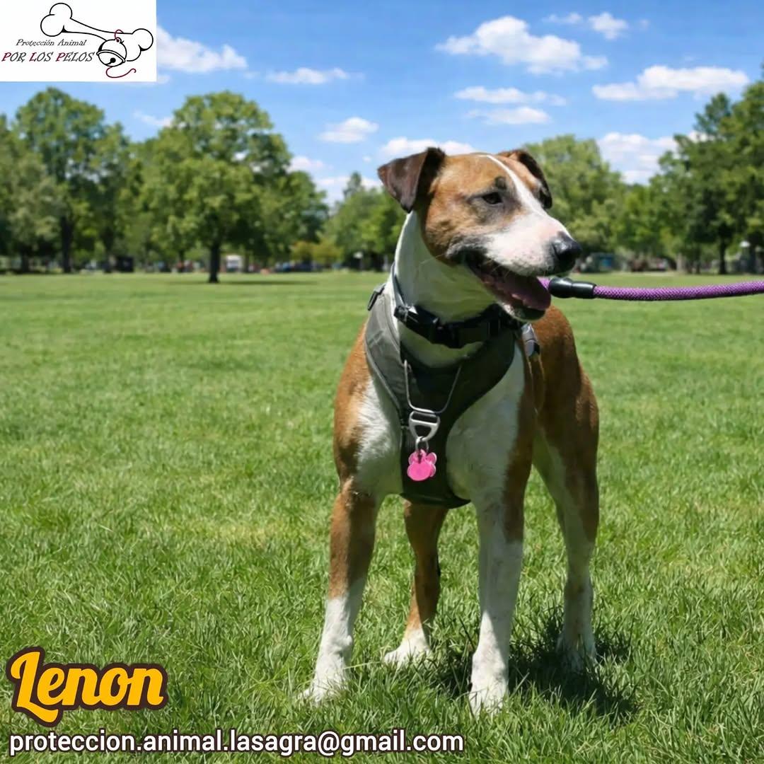 Lenon (9/10)