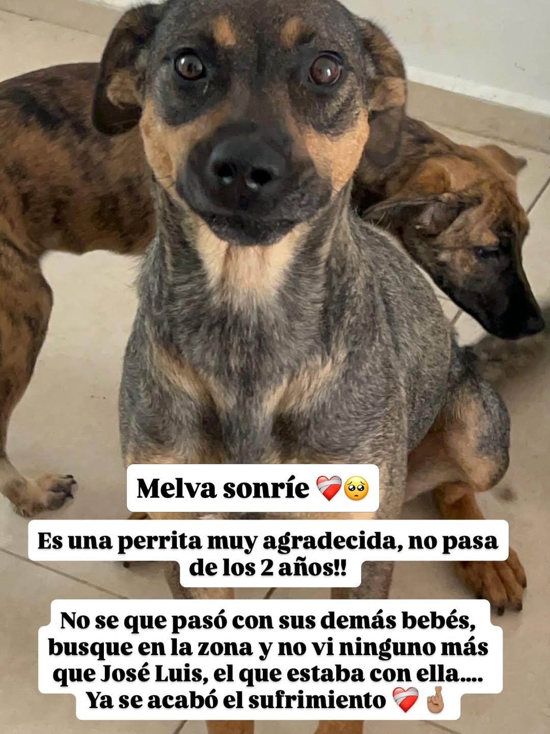 Melva, José Luis (2/3)