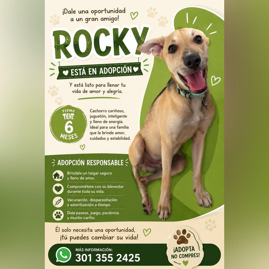 Rocky