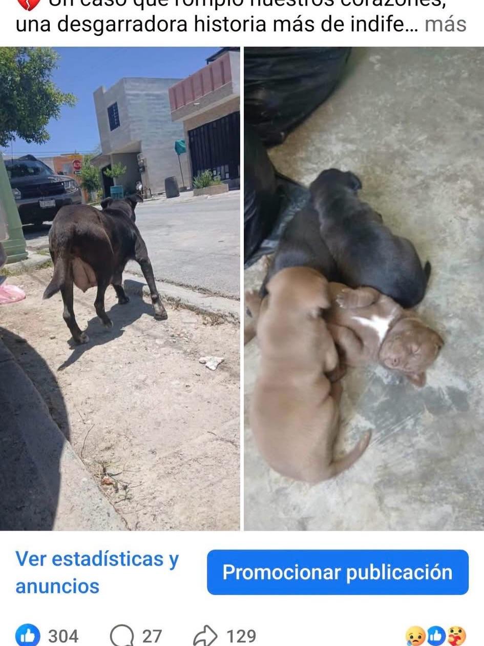 Martita (6/6)