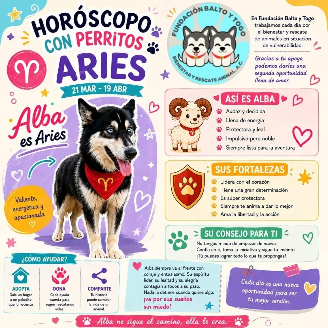 Alba (1/12)
