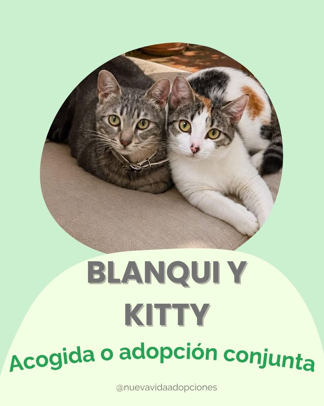 BLANQUI, KITTY (1/6)