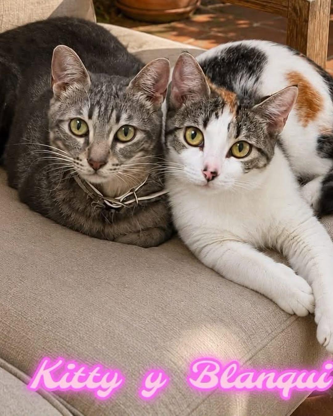 BLANQUI, KITTY (2/6)