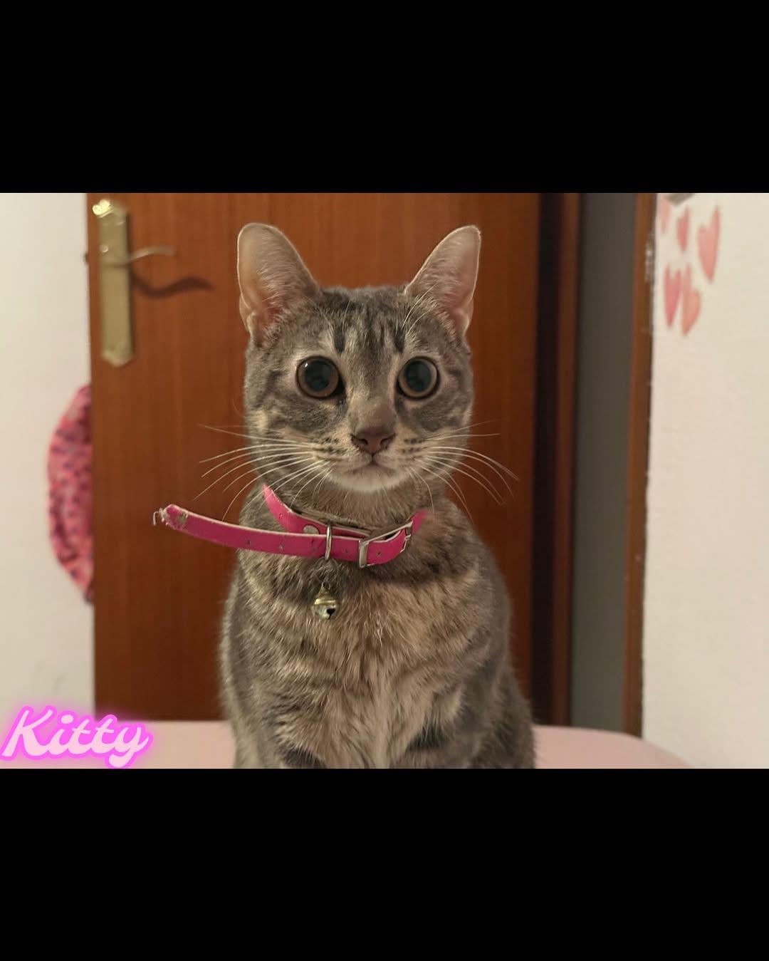 BLANQUI, KITTY (5/6)