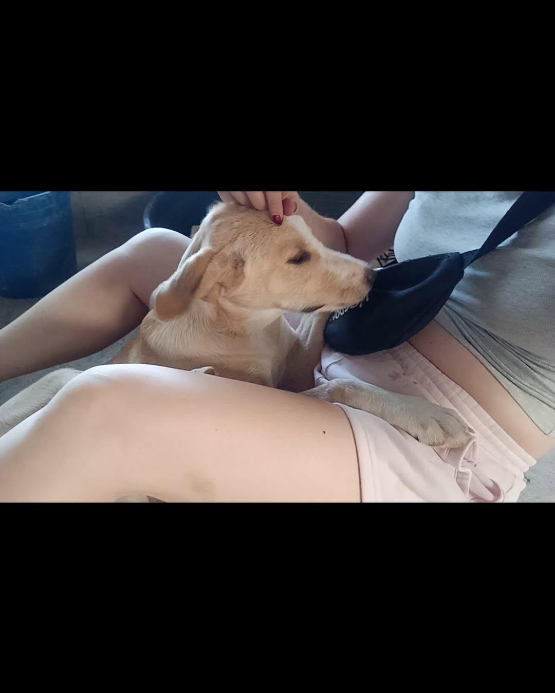 Sarita (4/4)