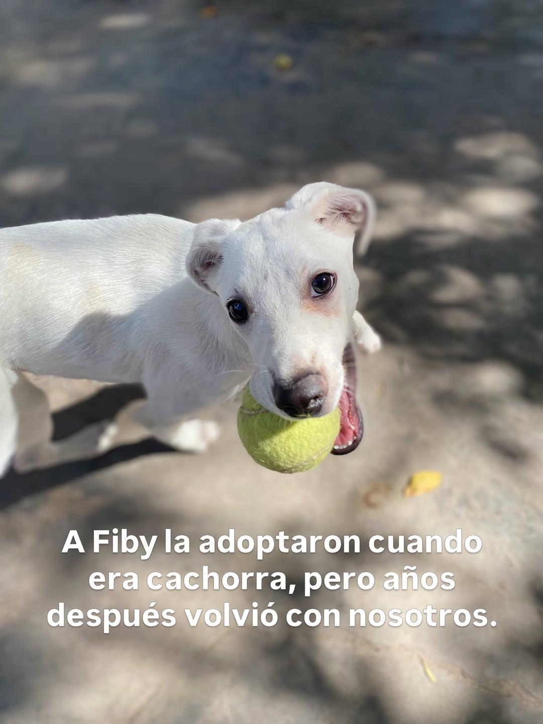 Mumi, Rubius, Fiby (9/12)
