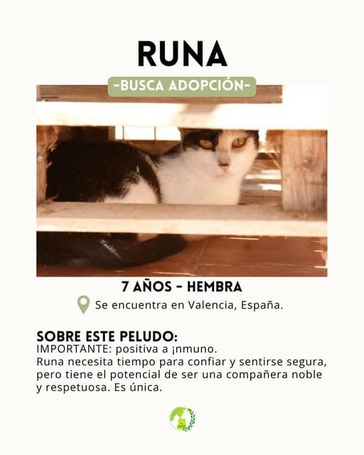 Runa (2/6)
